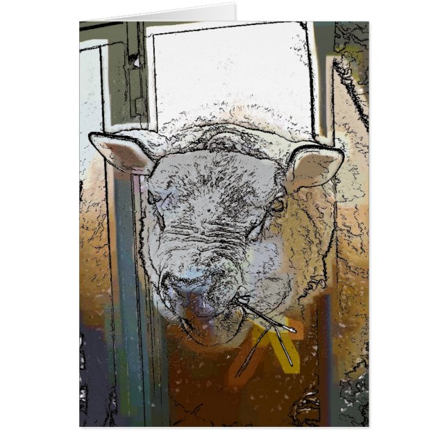 Cartão SHEEP (Frente)