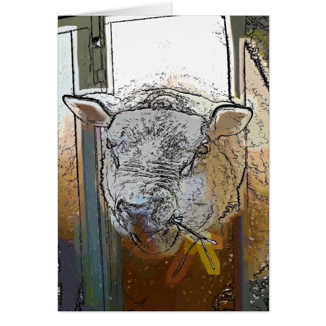 cartão SHEEP (Frente)