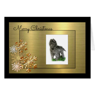 Cartão Sheepdog belga