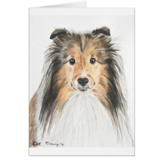 Cartão Sheepdog de Shetland