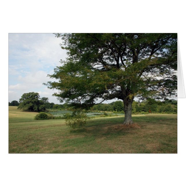 Cartão Shelby Fazenda (Frente Horizontal)