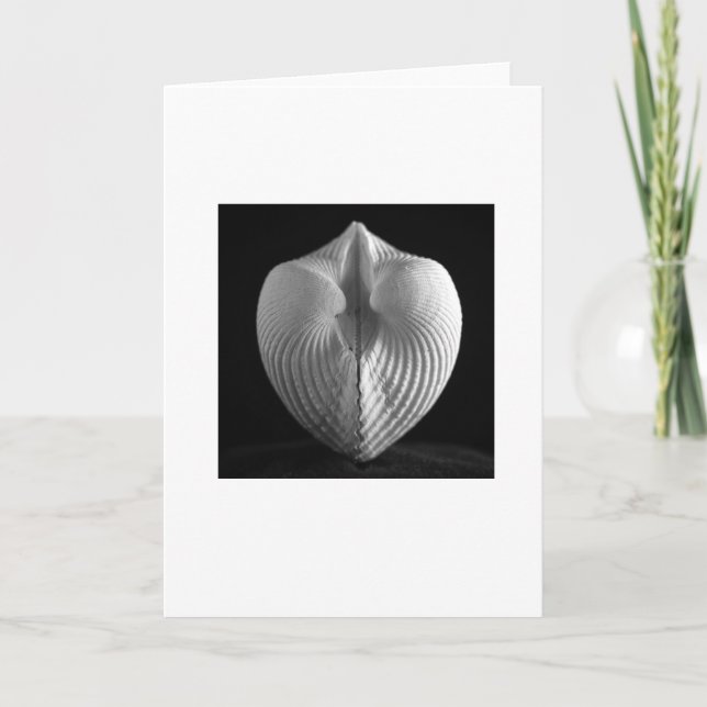 Cartão Shell (Frente)