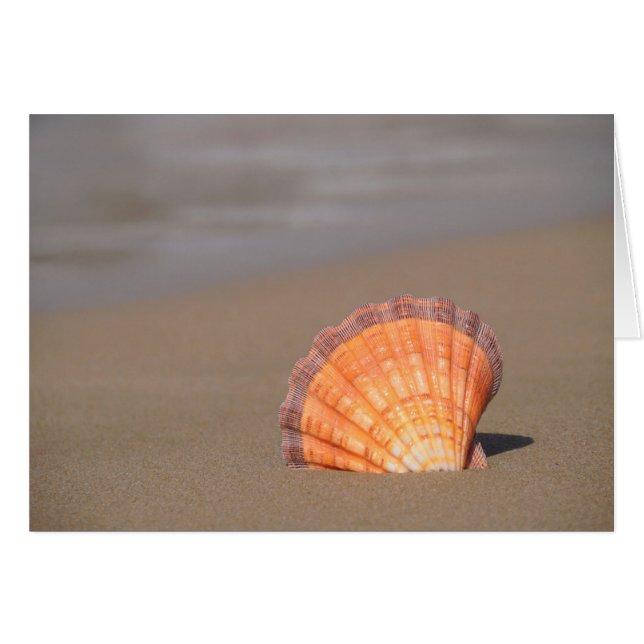 Cartão Shell Scallop| Creta, Grécia (Frente Horizontal)