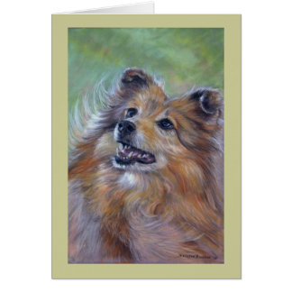Cartão Sheltie