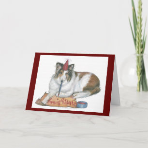 Cartão Sheltie Birthday Card