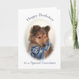 Cartão Sheltie Birthday Card para neto