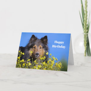 Cartão Sheltie Floral Photo Birthday