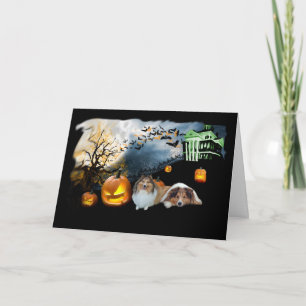 Cartão Sheltie Halloween Greeting Card