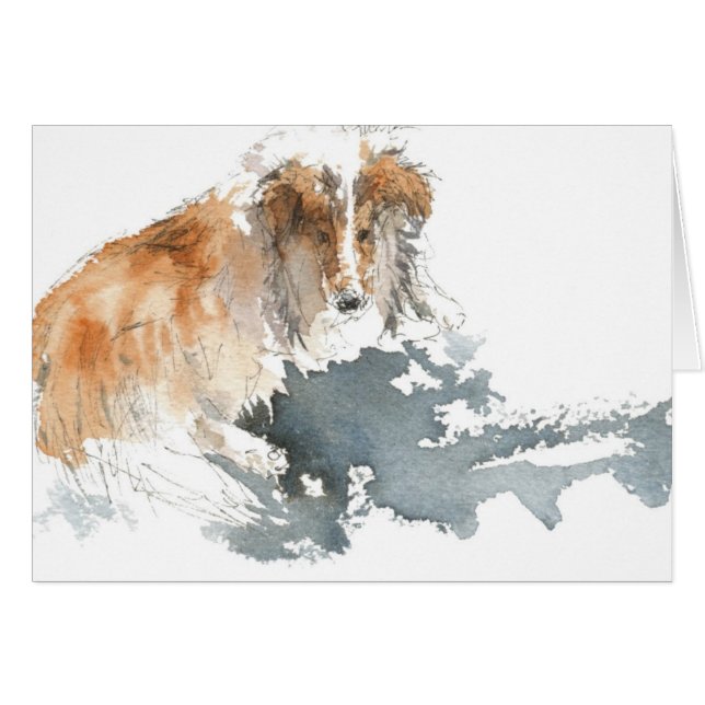 Cartão Sheltie na cor de água (Frente Horizontal)