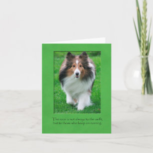Cartão Sheltie Note Card