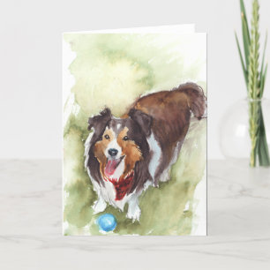 Cartão Sheltie/Shetland Sheikh Dog