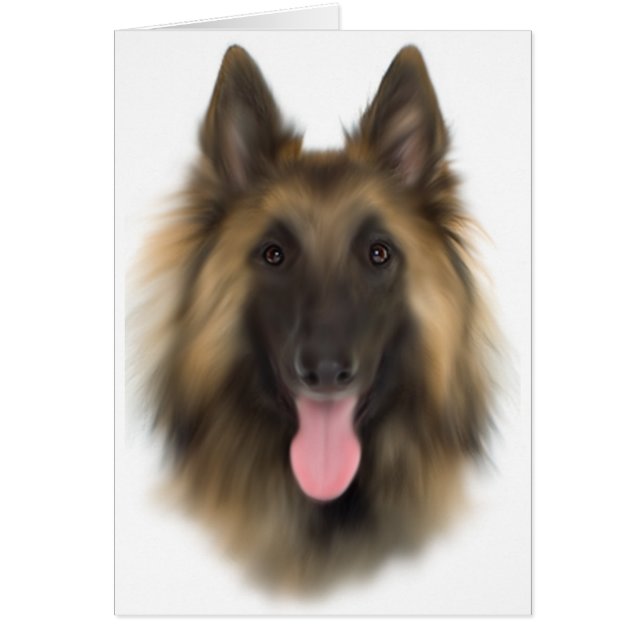 Cartão Sheperd Tervueren belga (Frente)