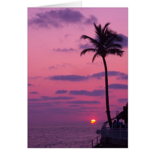 Cartão Shephards Sunset, Clearwater, Fl. (Frente)