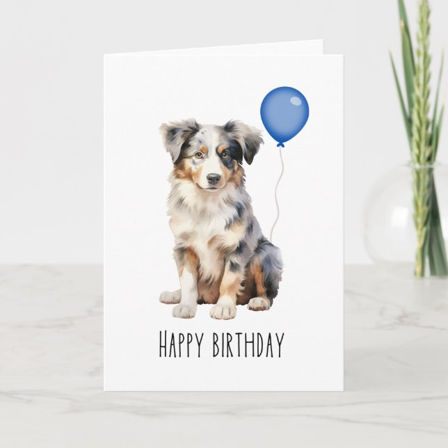 Cartão Shepherd Blue Merle Aussie Birthday (Frente)