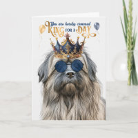 Shepherd King Pirenéus para um aniversário engraça