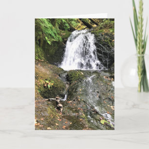 Cartão Shepperd's Dell Falls, Oregon