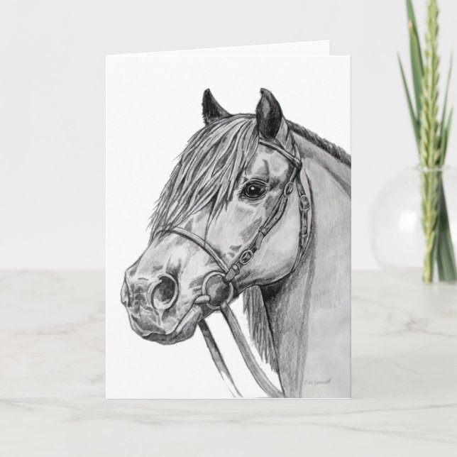 Cartão Shetland Pony Portrait (Frente)