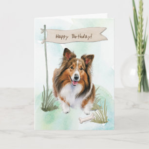 Cartão Shetland Sheepdog Dog Breed Sob Sinal De Aniversár