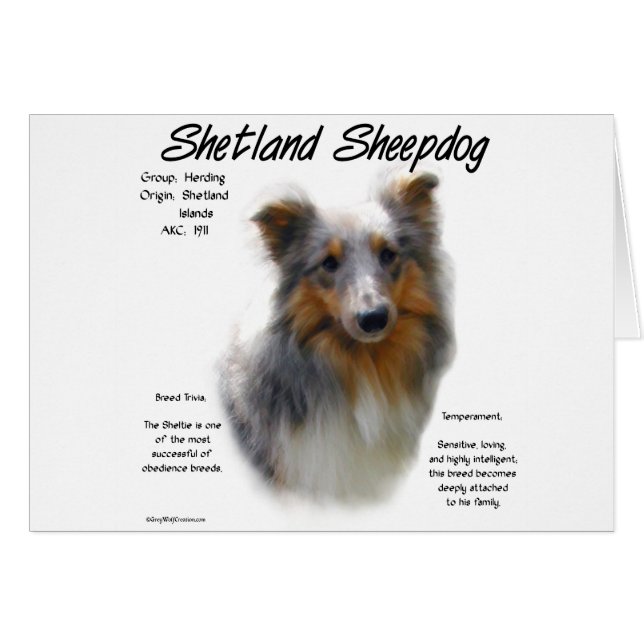 Cartão Shetland Sheepdog History Design (Frente Horizontal)