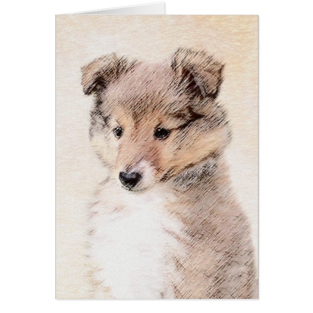 Cartão Shetland Sheepdog Puppy Pintura Original (Frente)