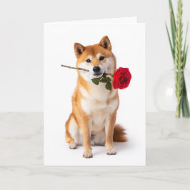 Cartão Shiba Inu Dia dos Namorados