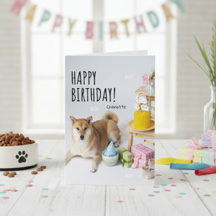 Cartão Shiba Inu Felicita Seu Aniversário De Arranque