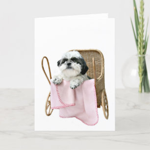 Cartão Shih Tzu baby buggy
