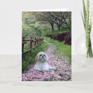 Cartão Shih Tzu Card Purple Flowers