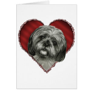 Cartão Shih Tzu com coração