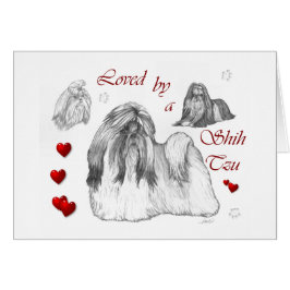 Cartão Shih Tzu Lovers