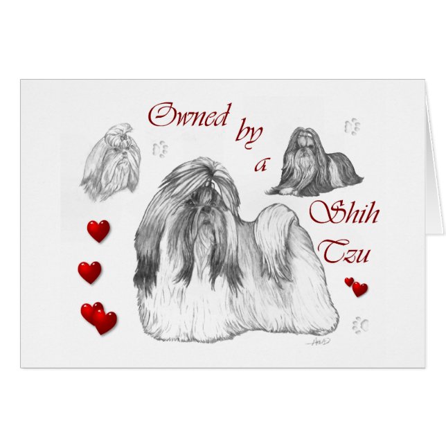 Cartão Shih Tzu Lovers (Frente Horizontal)