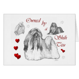 Cartão Shih Tzu Lovers