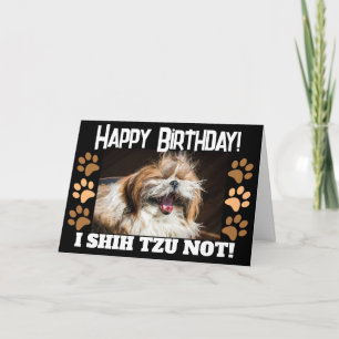 Cartão Shih tzu não está rindo Diversão Feliz aniversário