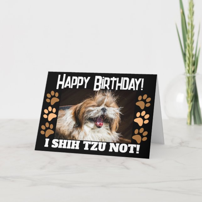 Cartão Shih tzu não rindo diversão Feliz aniversário Saud (Frente)