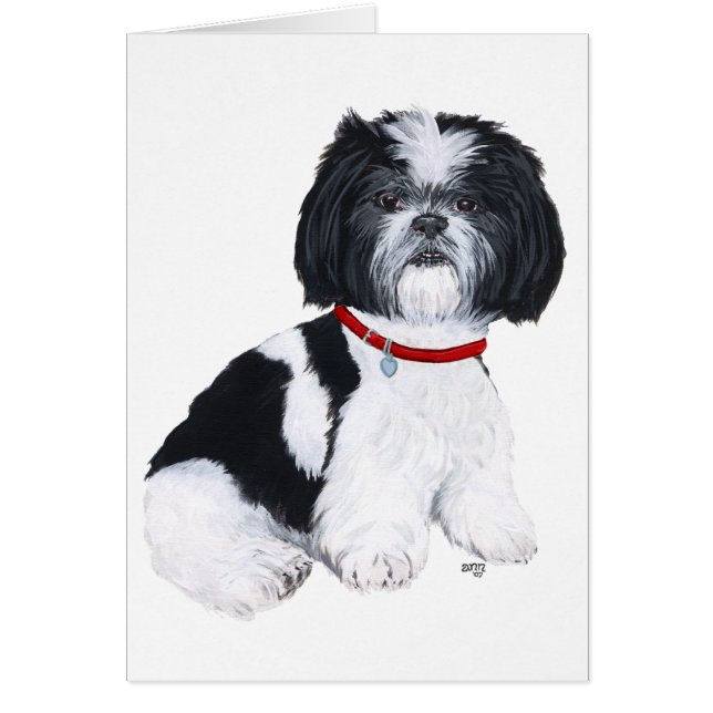 Cartão Shih Tzu Preto e Branco (Frente)