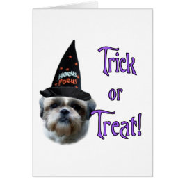 Cartão Shih Tzu Trick
