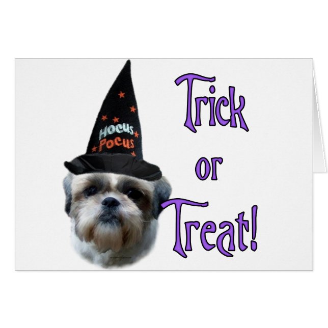 Cartão Shih Tzu Trick (Frente Horizontal)