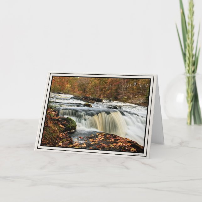 Cartão Shohola cai no outono (Frente)