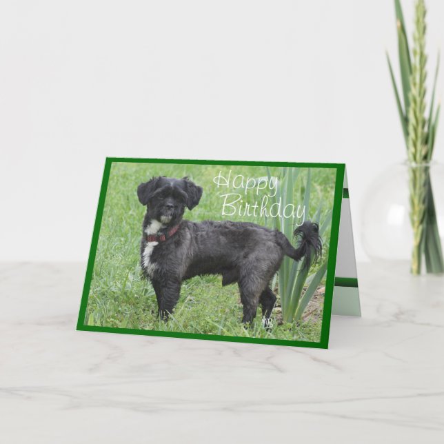 Cartão Shorty Íris-personaliza perto toda a ocasião (Frente)