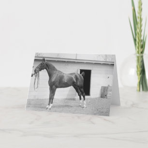 Cartão Show Horse 1911