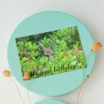 Cartão Shy Deer Funny Willife Birthday<br><div class="desc">Um cartão de aniversário humorístico para alguém que está tentando esconder seu aniversário! A placa apresenta a foto de um veado escondido no pincel. Selecione entre um cartão de estilo mate ou brilhante.</div>