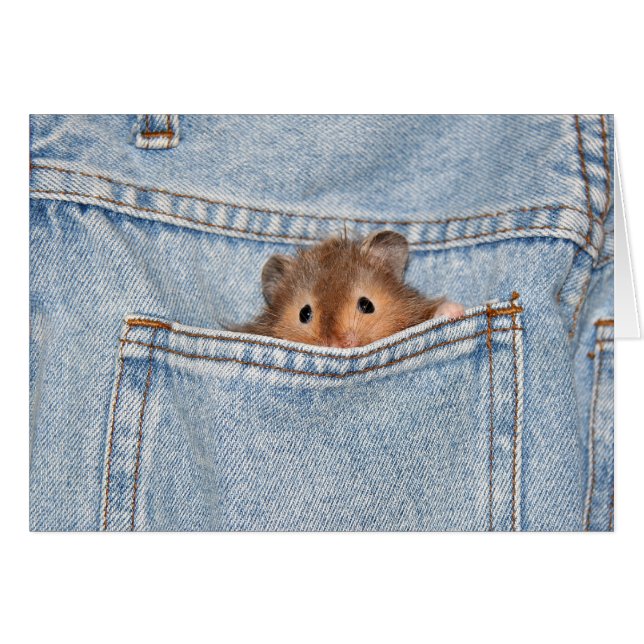 Cartão shy peekaboo (Frente Horizontal)