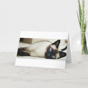 Cartão Siamese Cat