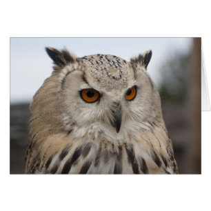 Cartão Siberian Eagle Owl
