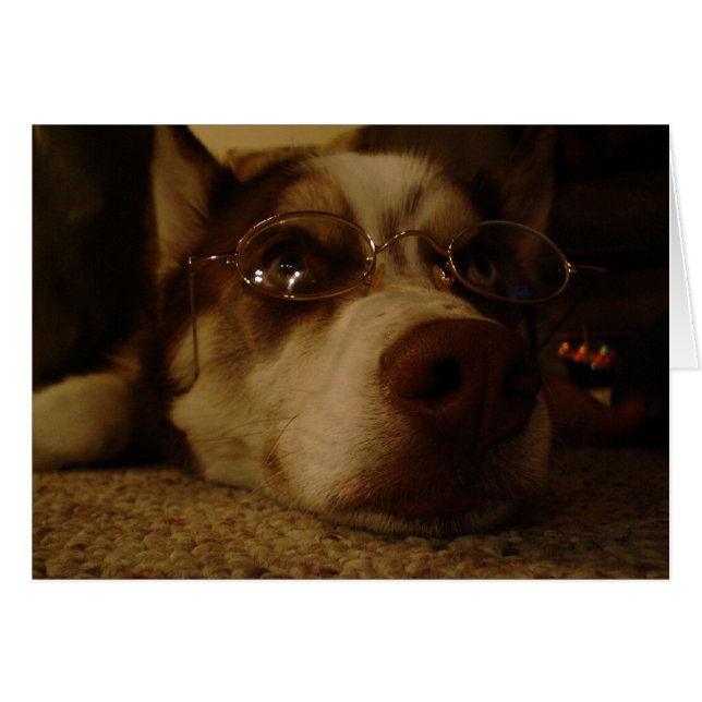 Cartão Siberian Husky (5) (Frente Horizontal)