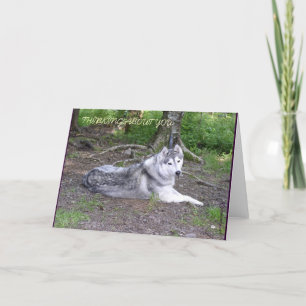 CARTÃO SIBERIAN HUSKY CARD
