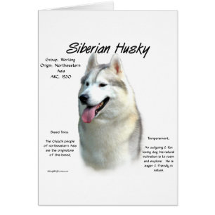 Cartão Siberian Husky History Design