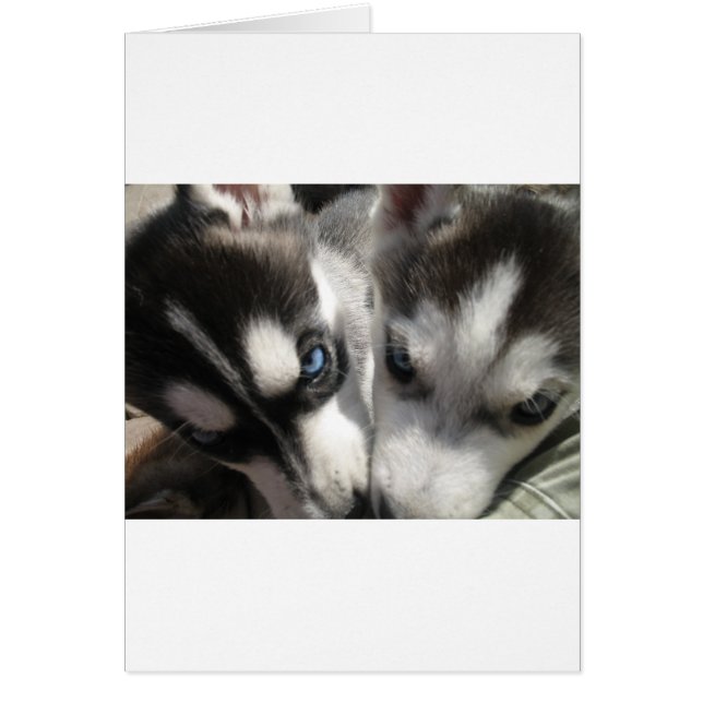 Cartão Siberian Husky Puppy mug (Frente)