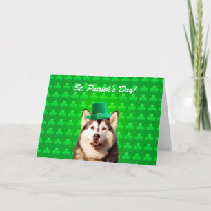 Cartão Siberian Husky St Patricks Day Clove Greeting Card