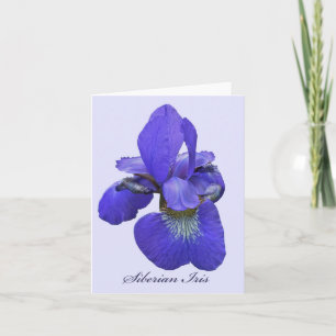 Cartão Siberian Iris Note Card